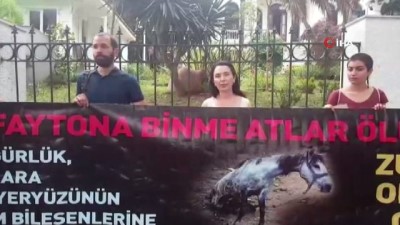 elektrik hatti -  Büyükada'da 9 atın yandığı ahırın sahibi hakim karşısına çıktı Videosu
