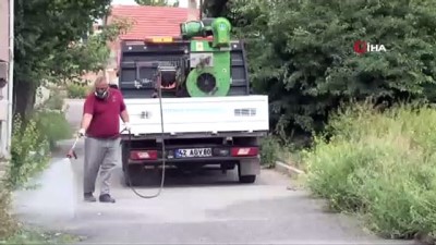 yagmurlu - İstilacı böcekler İç Anadolu'nun diğer illerinde de görüldü  Videosu