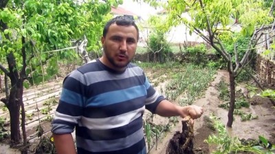 asiri yagis - Sandıklı'daki selde evler ve tarım alanları zarar gördü - AFYONKARAHİSAR Videosu