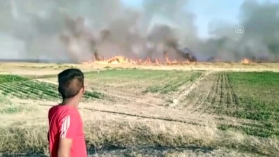mayinli arazi - Suriye sınırında yangın - ŞANLIURFA Videosu