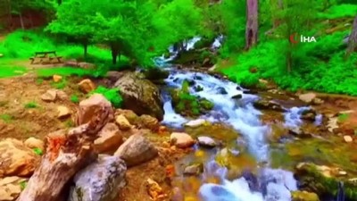 sparta -  Türkiye’nin çiçek bahçesi Isparta için sosyal medyada lavanta daveti Videosu