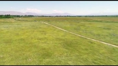 Uyuşturucu operasyonu - MALATYA