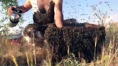 organik bal - 'Arı Adam'ın hedefi Guinness'e girmek - VAN  Videosu
