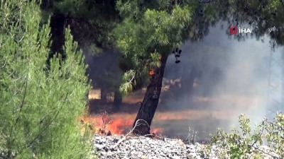  Gaziantep'te orman yangını