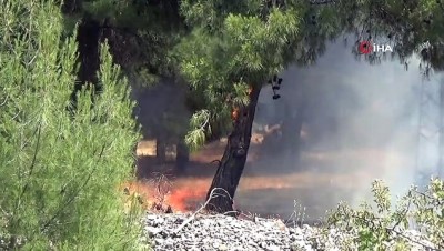  Gaziantep'teki orman yangın kontrol altına alındı
