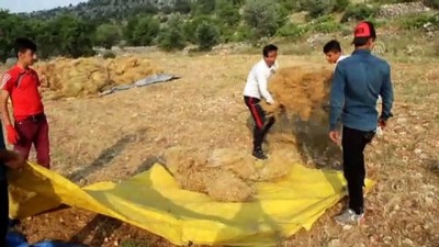 asad - Gercüş'te arpa ve mercimek hasadı - BATMAN Videosu