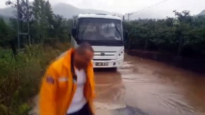 buyukbas hayvan - Zonguldak'ta sağanak  Videosu