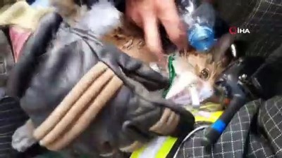 oksijen tupu -  - Rus İtfaiyeciler Yangından Kurtardıkları Kediyi Hayata Döndürdü  Videosu