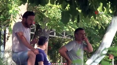 sapanca golu -  Selden dolayı tonlarca ağaç Sapanca Gölüne sürüklendi Videosu