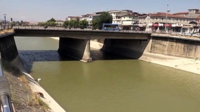 olu balik - Asi Nehri'nde balık ölümleri - HATAY  Videosu