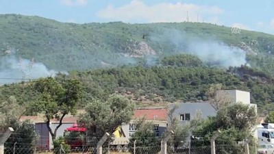 ormanli - İzmir'de orman yangını Videosu