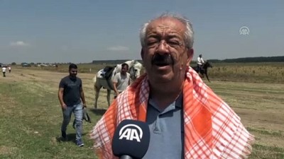yaris - Rahvan at yarışları yapıldı - BALIKESİR Videosu