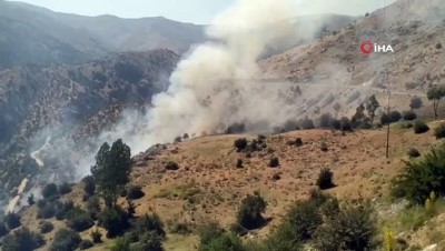 ormanli -  - Bahçesaray'da orman yangını  Videosu