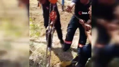 aski -  Kuyuya düşen inek, 5 saat süren çalışmayla kurtarıldı Videosu