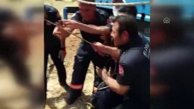 aski - Kuyuya düşen inek kurtarıldı - ELAZIĞ Videosu