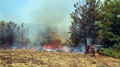 makilik alan - Antalya'da yangın Videosu