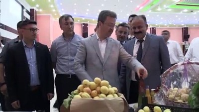 ilginc goruntu - 'Iğdır kayısısı tam bir marka haline gelmiştir' - IĞDIR Videosu