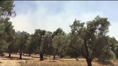 makilik alan - Ormanlık alanda çıkan yangına müdahale ediliyor - BALIKESİR Videosu