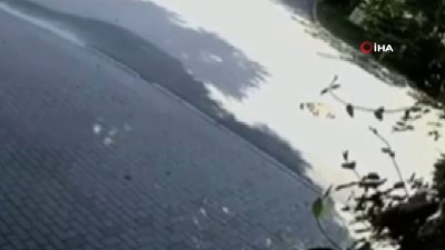 sokak kopegi -  Otomobilin köpeği ezdiği anlar kamerada  Videosu