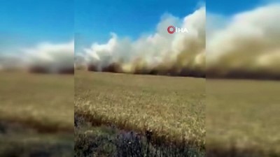 karahisar -  18 dönümlük buğday tarlası tamamen yandı Videosu