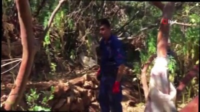 uyusturucu tacirleri -  İzmir’den gelip Aydın’a kenevir etkiler  Videosu