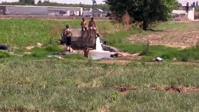 golgeli - Kavurucu sıcaklar etkili oluyor - ŞANLIURFA Videosu