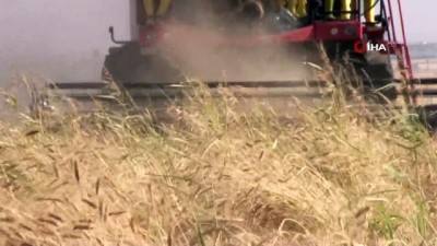  Mardin’de hububatçılar ithalata sınırlama bekliyor 