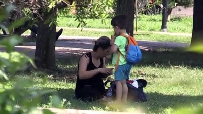 golgeli - 'Sarı sıcak' - ADANA Videosu