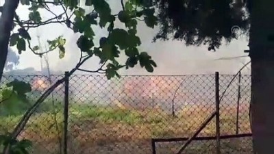 benin - Urla'da tarla yangını - İZMİR  Videosu