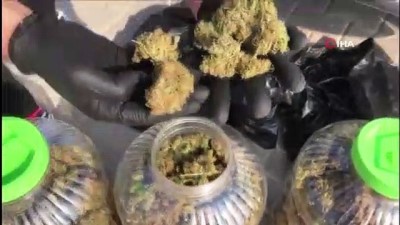 adli tip -  'Atak' bagajda marihuana buldu  Videosu