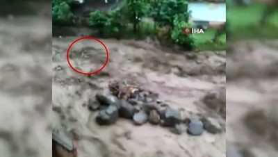 yasli adam - Selde hayatını kaybeden yaşlı adam böyle sürüklenmiş  Videosu