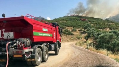 makilik alan - Tire'de makilik yangını - İZMİR Videosu