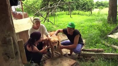yabanci ogrenciler - Çalıştıkları çiftlikte tatil yapıp Türk kültürünü öğreniyorlar - KASTAMONU  Videosu