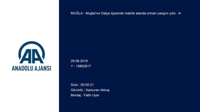 alamut - Muğla'da orman yangını Videosu