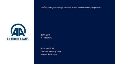 alamut - Muğla'da orman yangını Videosu