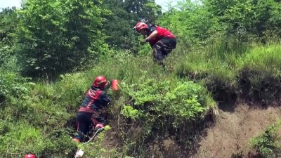 karya - Şarampole devrilen otomobilde yangın - SAKARYA  Videosu