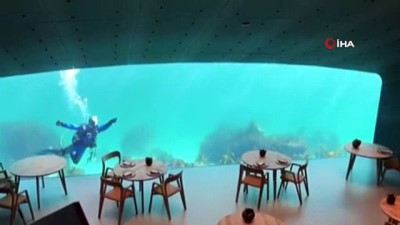 okyanus -  - Avrupa’nın İlk Sualtı Restoranı Norveç’te Açıldı Videosu