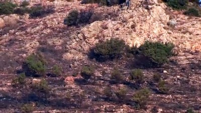 makilik alan - Muğla'daki orman yangını söndürüldü  Videosu