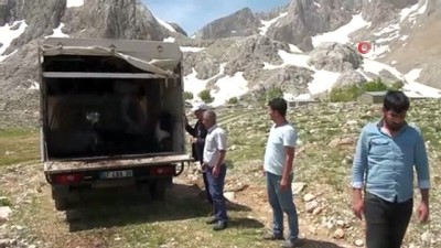 kamyoncu -  - Antalya’da Yörüklerin yayla göçü başladı  Videosu
