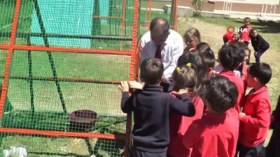 kulucka makinesi -  Öğrenciler istedi, okula mini çiftlik kuruldu  Videosu