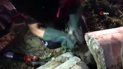 karya -  Beton borunun içine sıkışan köpeği itfaiye ekipleri kurtardı  Videosu