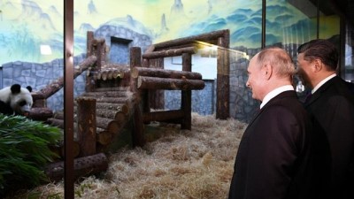 panda - Çin ve Rusya'dan panda diplomasisi: Putin ve Şi hayvanat bahçesini ziyaret etti Videosu