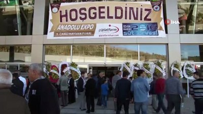 ticaret odasi -  Haciz şoku yaşayan Kuşadası-Efes Kongre Merkezi için seferberlik başlatıldı  Videosu