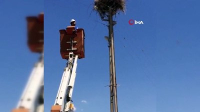 elektrik diregi -  Elektrik direğinde asılı kalan leylek yavrusu böyle kurtarıldı Videosu