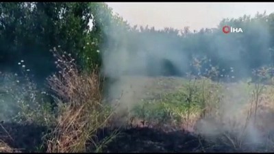 aniz yangini -  UNESCO Dünya Miras Listesi'nde bulunan Hevsel Bahçeleri yanmaktan son anda kurtuldu  Videosu