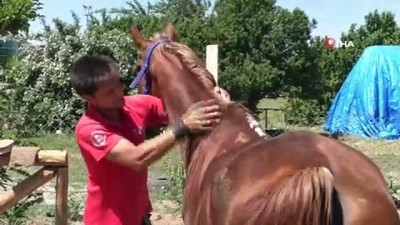 at ciftligi -  Hayaliydi, atıyla askere gitti  Videosu