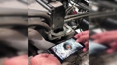 sigircik -  Sığırcık otomobilin motorunda yavruladı  Videosu