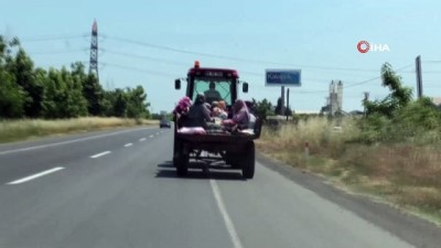 kadin isci -  Traktör römorkunda tehlikeli taşımacılık kamerada  Videosu