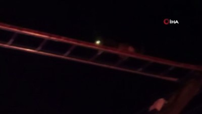 elektrik diregi -  - Direkte mahsur kalan kediyi itfaiye kurtardı  Videosu