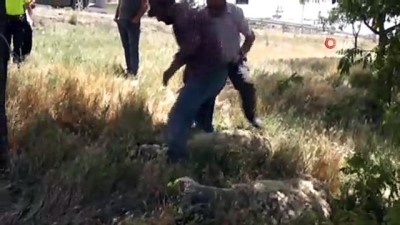 polis -  Koyun yüklü kamyonet devrildi: 2 yaralı  Videosu